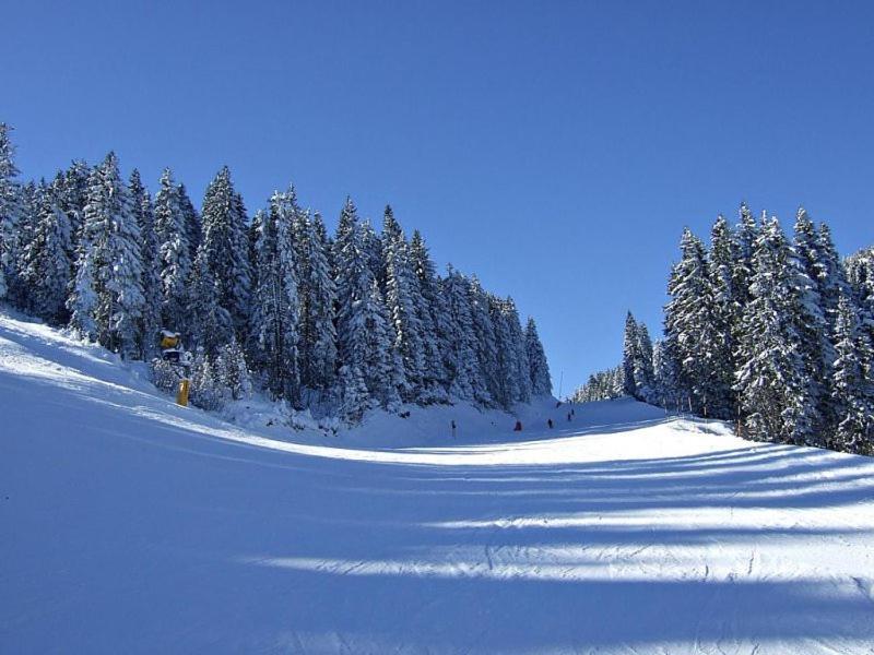 L&N Apartmani Kopaonik-Milmari Resort Екстериор снимка
