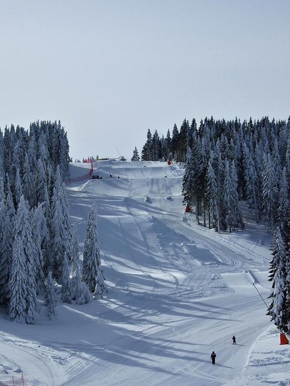 L&N Apartmani Kopaonik-Milmari Resort Екстериор снимка