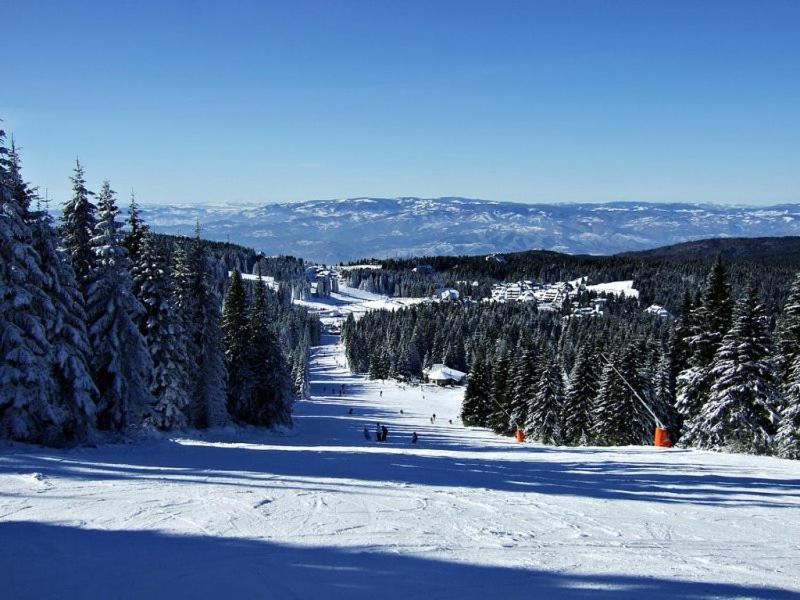 L&N Apartmani Kopaonik-Milmari Resort Екстериор снимка