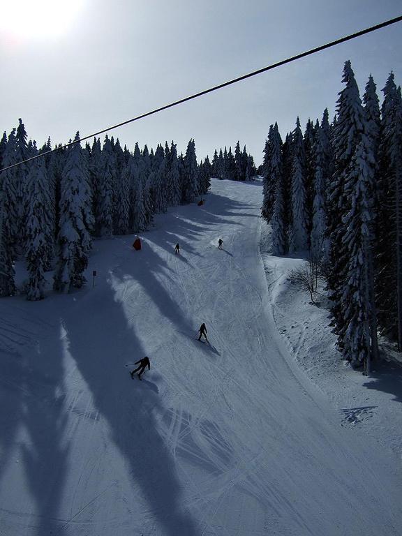 L&N Apartmani Kopaonik-Milmari Resort Екстериор снимка